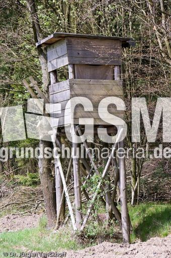 Hochstände (81 von 154).jpg